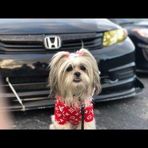 Meet your Posher, Stefania